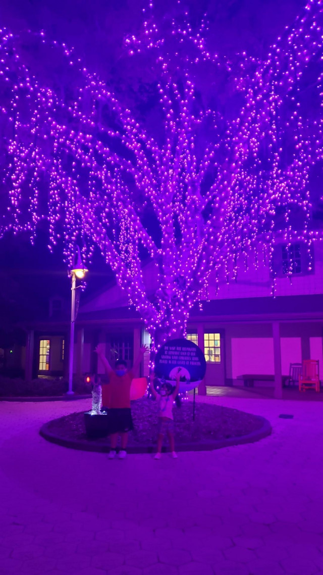 Brandon in front of lit tree at night