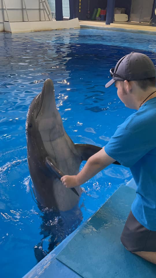 Evan holding hands with dolphin