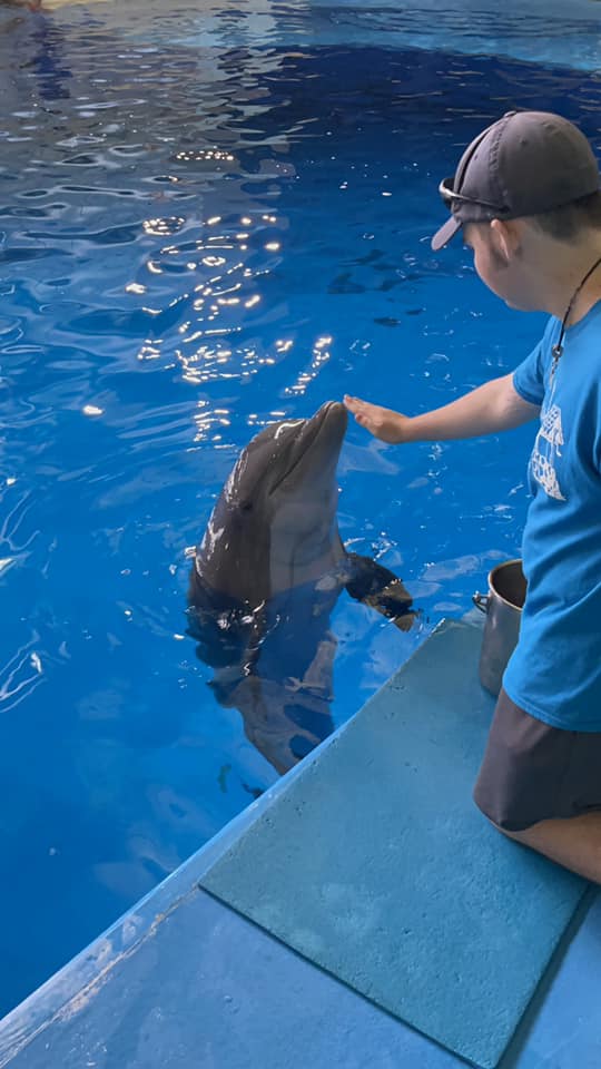 Evan petting a dolphin