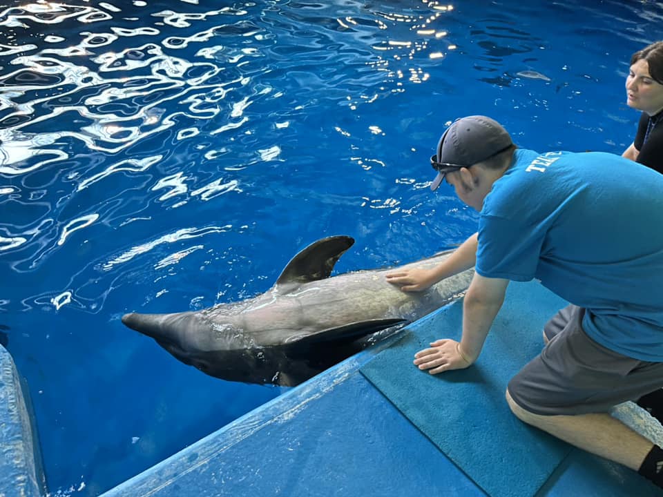 Evan petting dolphin belly