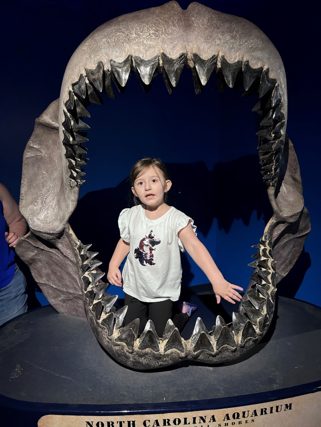 Charlie Inside a Whale