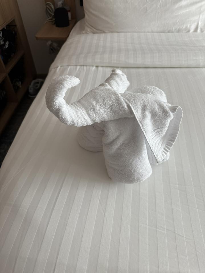 Elephant Folded Towel