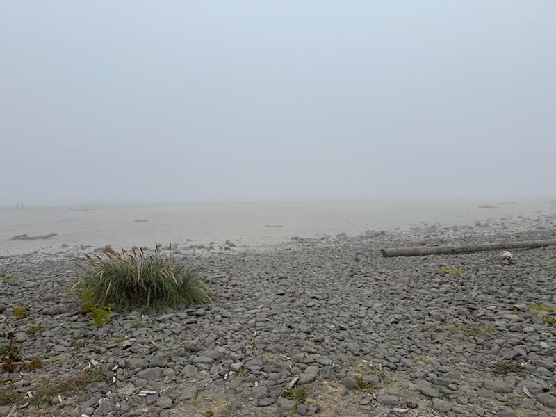 IMG 3872