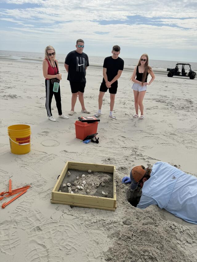 Family watching Will with hatchlings